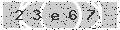 verify code